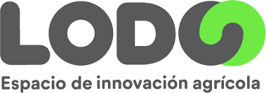 Lodo